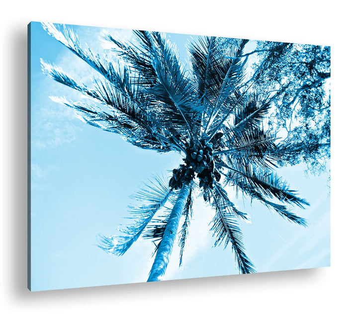 deyoli Kokosnüsse an einer tropischen Palme Format 80x60 Effekt: Monocrome Blau als Leinwandbild, Mo