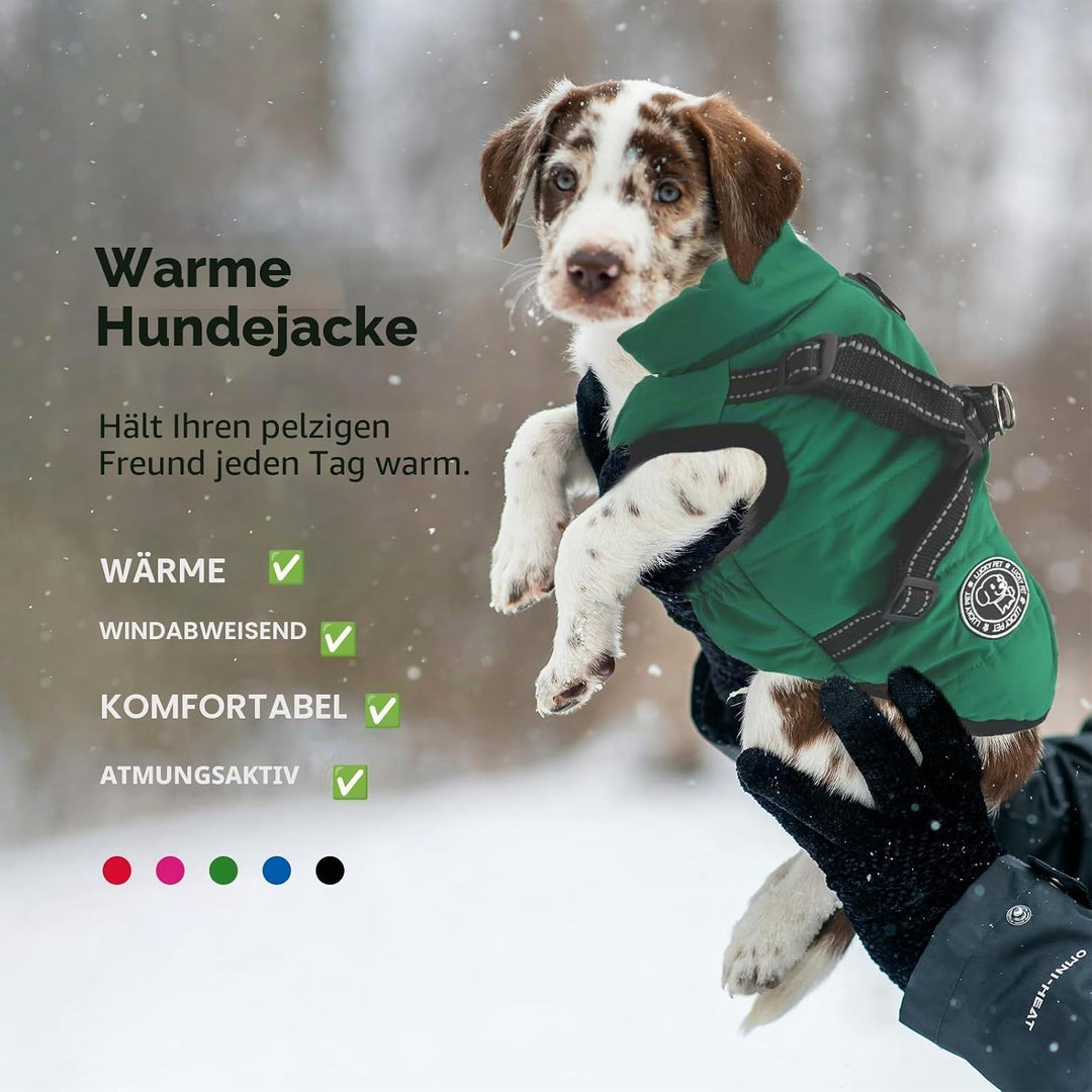 Hundemantel für Kleine Hunde Wasserdicht,Hundemantel mit Geschirr, Winterjacken &amp; Wintermäntel für H