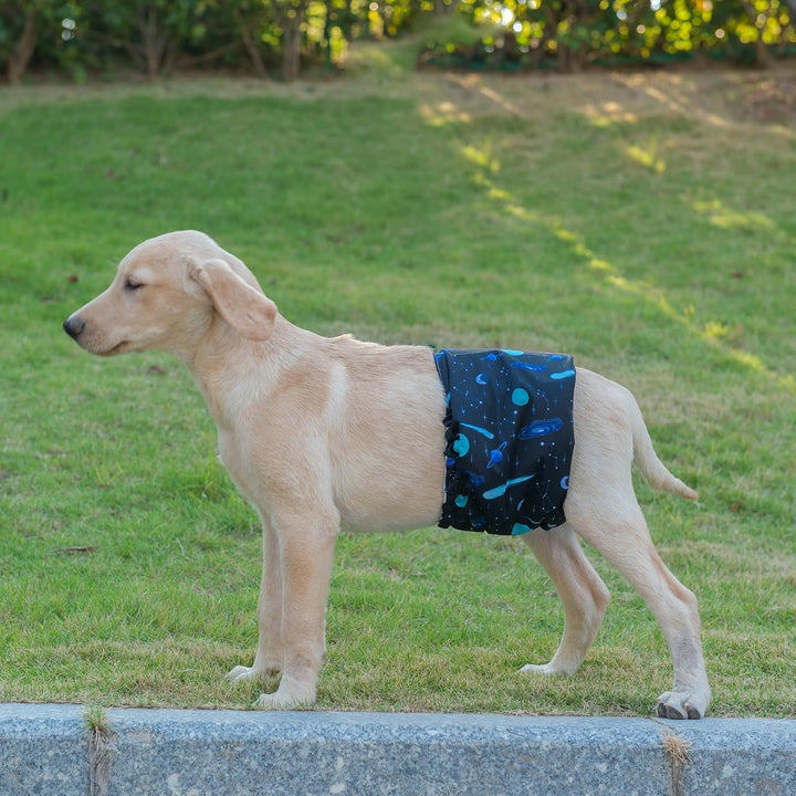 CuteBone Männlich Waschbare Hundewindeln Bauchbänder,3 Stück Wiederverwendbare Hund Bauchband für Rü