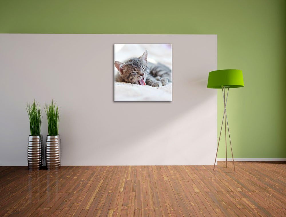 Kleines Kätzchen, Format: 70x70 auf Leinwand, XXL riesige Bilder fertig gerahmt mit Keilrahmen, Kuns