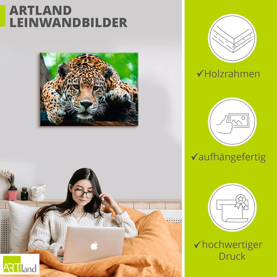 ARTland Leinwandbilder Wandbild Bild auf Leinwand 60x45 cm Tiere Wildtiere Raubkatze Fotografie Brau