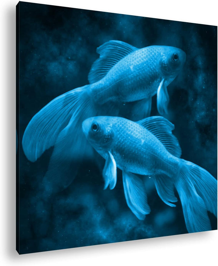 deyoli Dark Sternzeichen Fische Format: 70x70 Effekt: Monocrome Blau als Leinwandbild, Motiv fertig