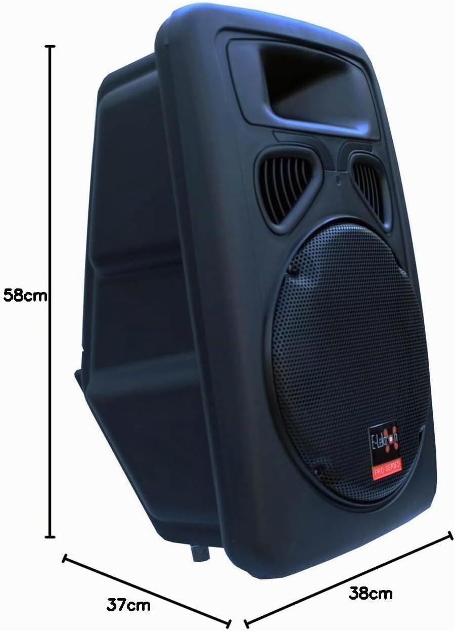 E-Lektron JP30 DJ PA Lautsprecher Box Passiv 30CM/12 Basslautsprecher
