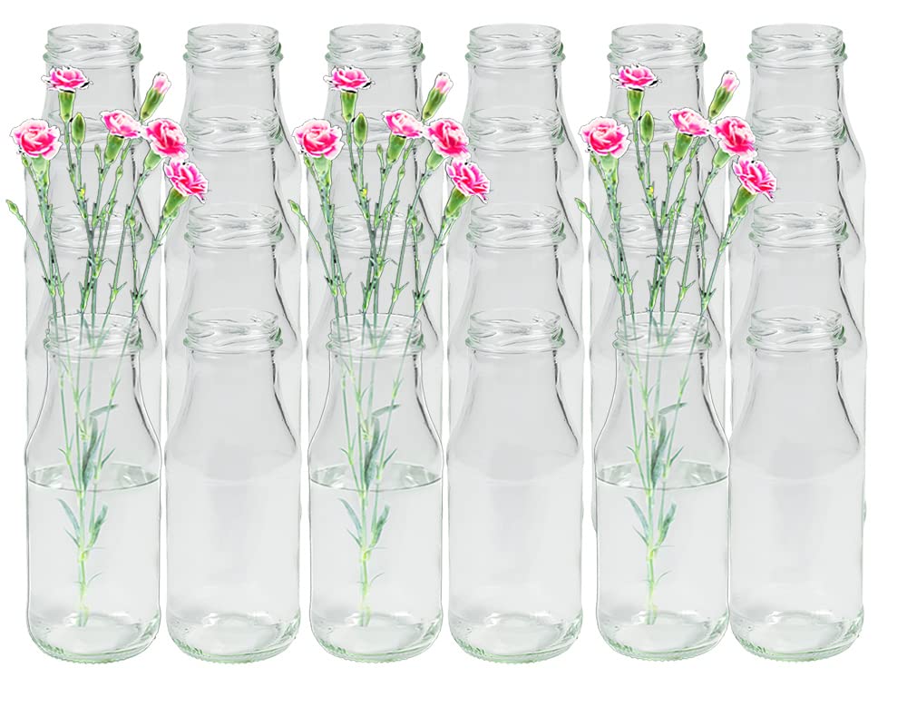 24 Stück Runde Mini Vasen Typ 263 Glasfläschchen kleine Dekoflaschen Flasche Väschen Vase Glasflasch