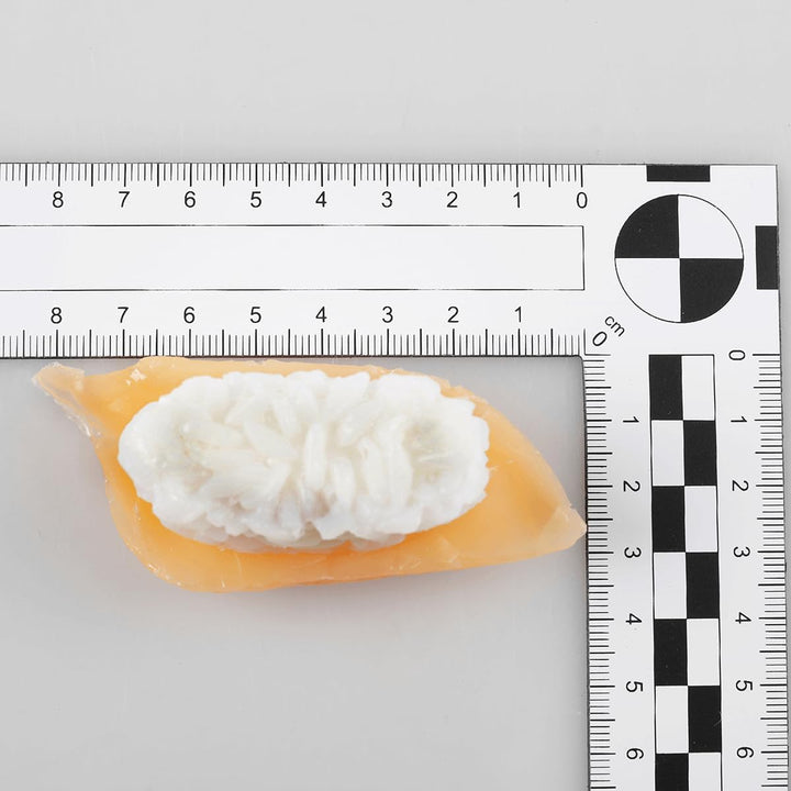 Deko-Sushi-Set 4 Stück rot/orange Dekorationsbedarf Naturgetreue Lebensmittel Attrappe - Künstliches