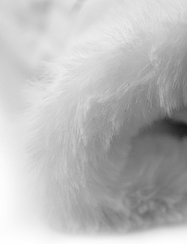 Reusch Damen Luna R-tex Xt mit Wasserdichter und Atmungsaktiver Membran, Angenehm Warme Skihandschuh