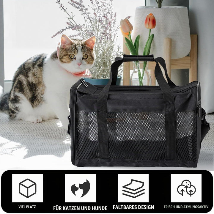 Transporttasche Für Katze Hund, Faltbare Transporttasche Katze, Transportbox Für Kleine, Hunde Trans