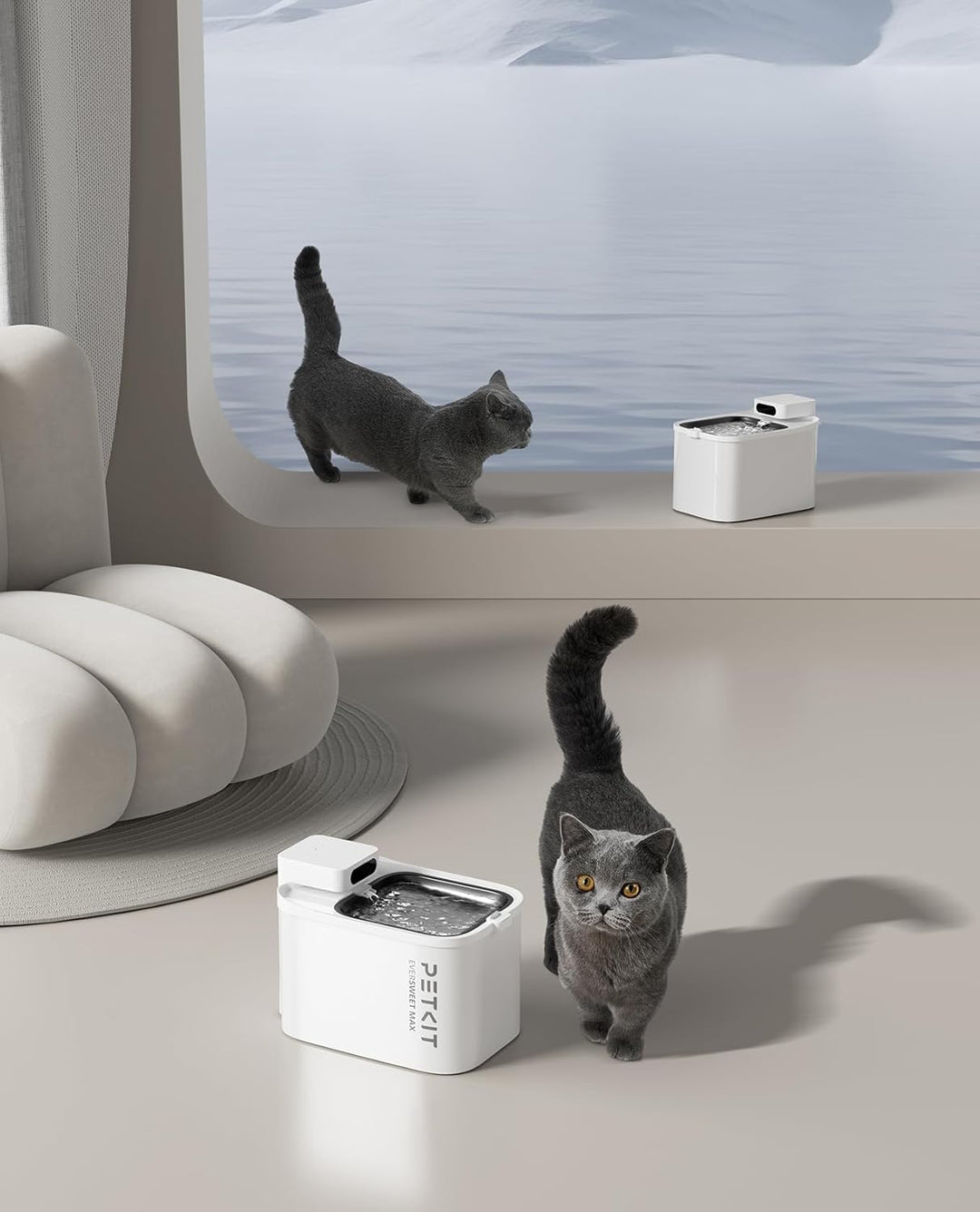 PETKIT EVERSWEET MAX Filter,Aktivkohle, Hocheffiziente Filtration,5pcs für Katzen Hunde Trinkbrunnen