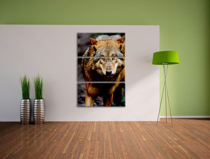 scheuer Wolf Spezial 3-Teiler Leinwandbild 120x80 Bild auf Leinwand, XXL riesige Bilder fertig gerah