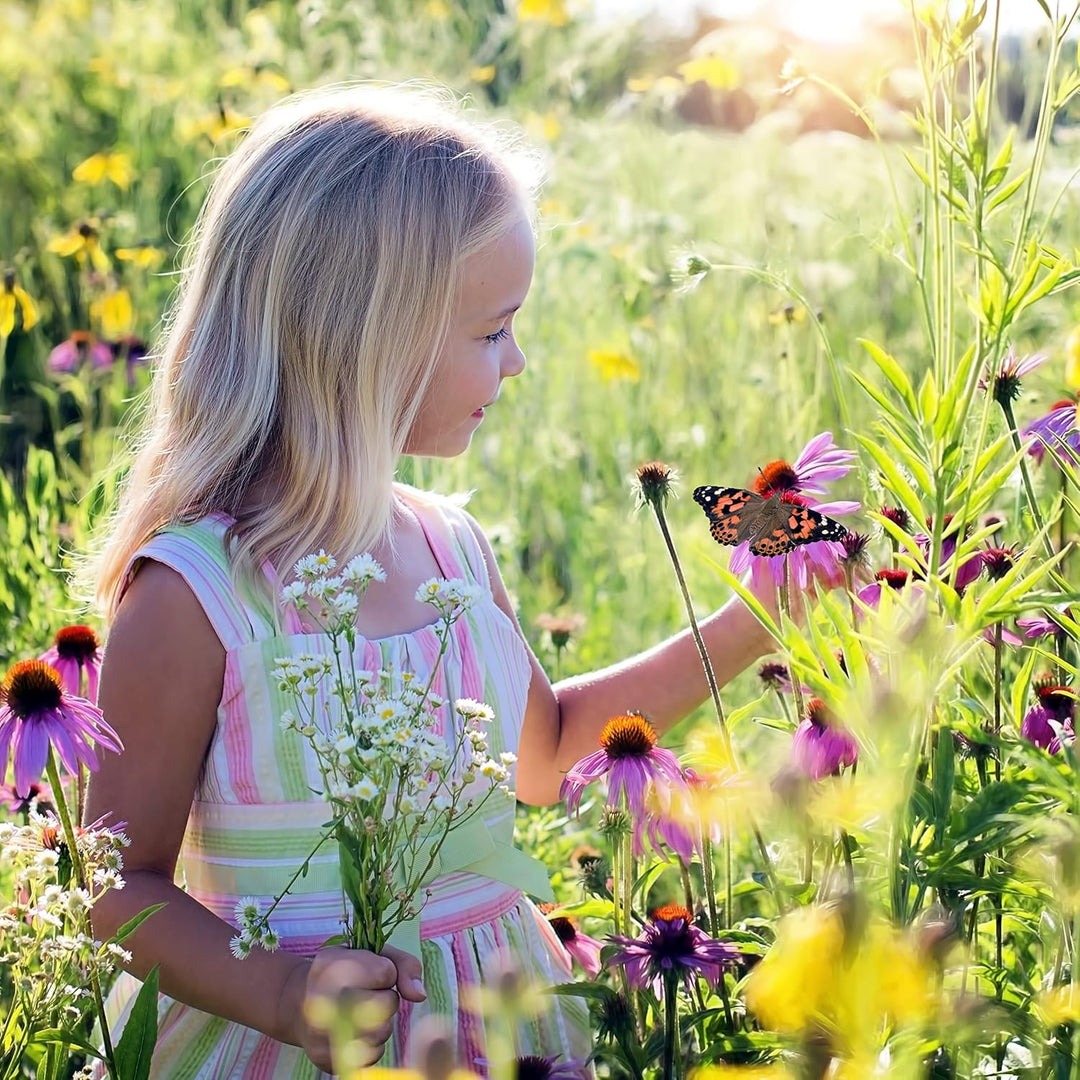 Schmetterlingszucht-Set für Kinder | Ca. 14 Raupen + grossem Habitat (40x40x60 cm) | GRATIS E-Book +