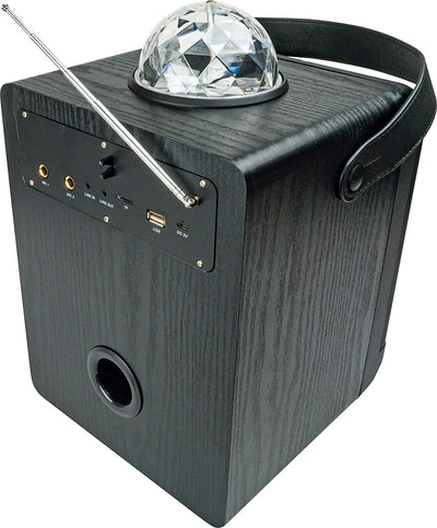 SCHWAIGER 661675 Tragbarer Party-Lautsprecher Party Box Discokugel Discolicht Karaoke Stereo Soundan