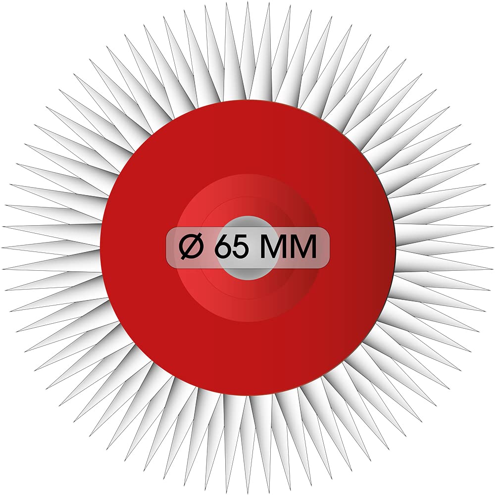 Pangolino - Entlüftungsroller - 25 cm – Einarmiger Metallbügel - Stachellänge: 11 mm - Profi-Qualitä