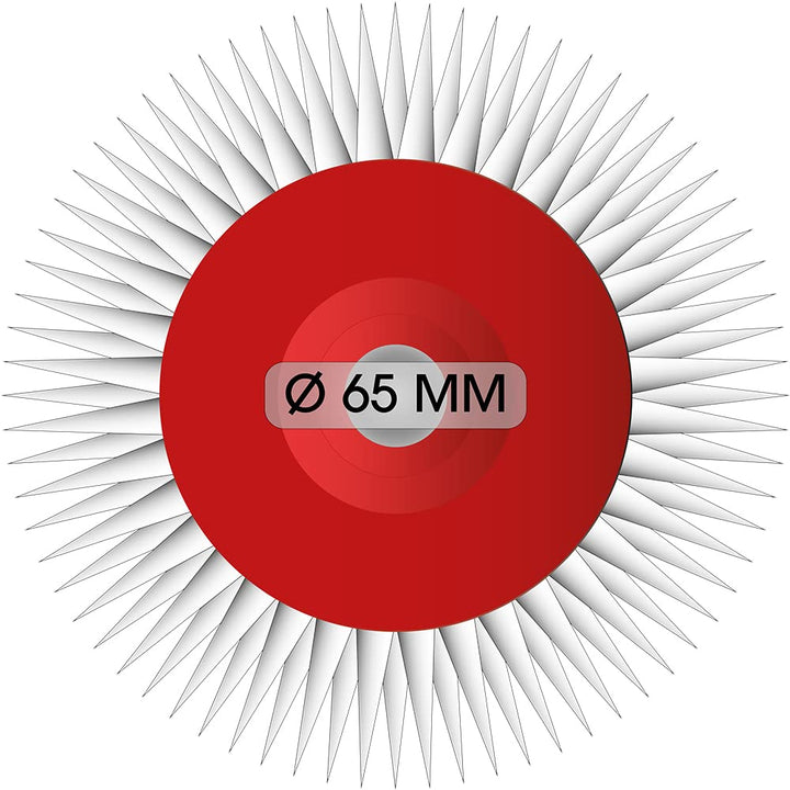 Pangolino - Entlüftungsroller - 25 cm – Einarmiger Metallbügel - Stachellänge: 11 mm - Profi-Qualitä