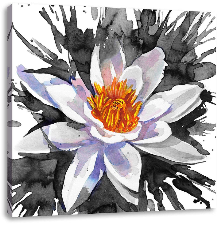 Pixxprint gezeichnete Seerose als Leinwandbild Quadratisch/Grösse: 70x70 / Wandbild/Kunstdruck/ferti