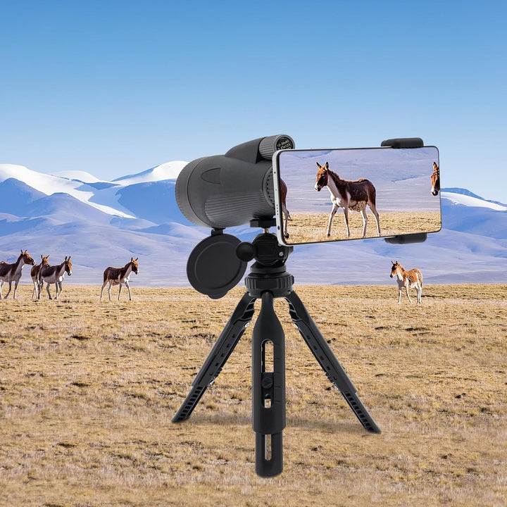 Spektiv Teleskop 12-36x60 Spotting Scope Vogelbeobachtung Spektiv Telescope mit Okularabdeckungen un