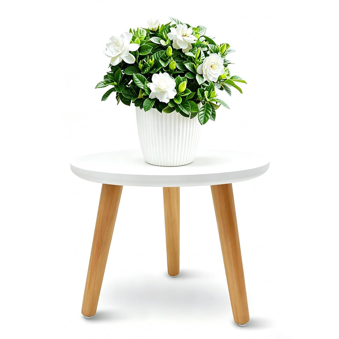 Pflanzenständer aus Holz 22x28 cm, Blumenständer Rund mit 3 Füssen, Belastung Blumenhocker für Versc