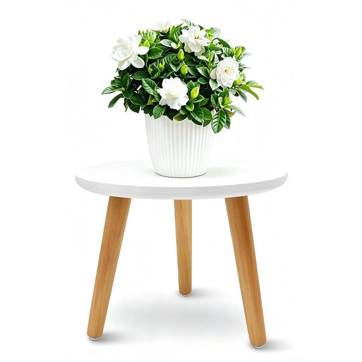 Pflanzenständer aus Holz 22x28 cm, Blumenständer Rund mit 3 Füssen, Belastung Blumenhocker für Versc