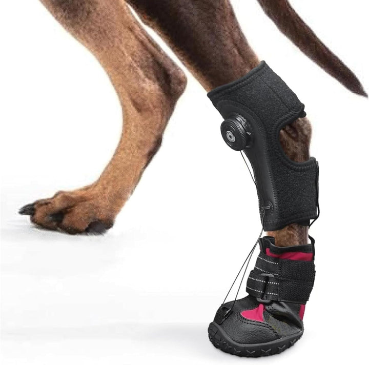 SENECESLI Fallfussstütze mit Rolle für Hunde, Atmungsaktive Hundefussstütze mit Rutschfester Sohle f