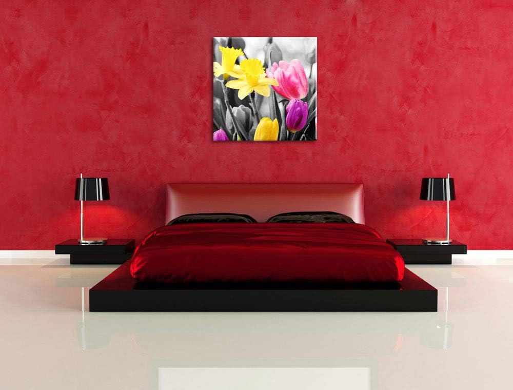 Pixxprint schöne Narzissen mit Tulpen schwarz/weiss, Format: 70x70 auf Leinwand, 70x70
