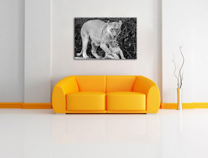 liebevolle Löwin spielt mit Jungtier schwarz/weiss auf Leinwand, XXL riesige Bilder fertig gerahmt m