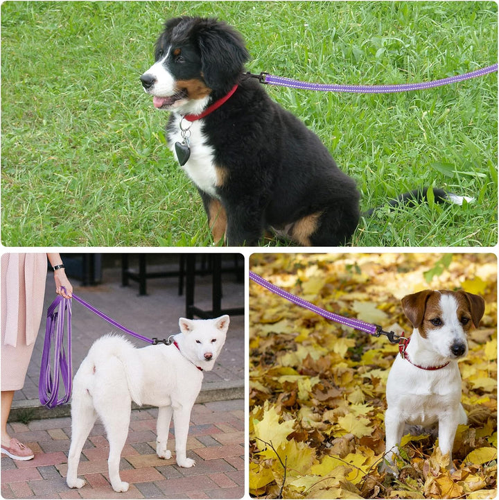 Demigreat Schleppleine für Hunde, 3m / 5m / 10m / 15m / 20m Robuste Lange Hundeleine Reflektierend T