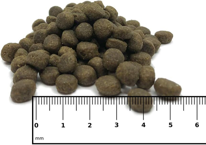 ICEPAW I High Premium Trockenfutter I Welpen I Puppy Junior Pure I 4 x 2 kg I Mit Fisch (Hering) und