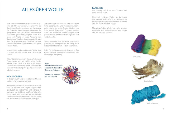 Das grosse Buch vom Filzen: Grundlagen, Techniken, Projekte. Mit vielen Anwendungsbeispielen, Gebund