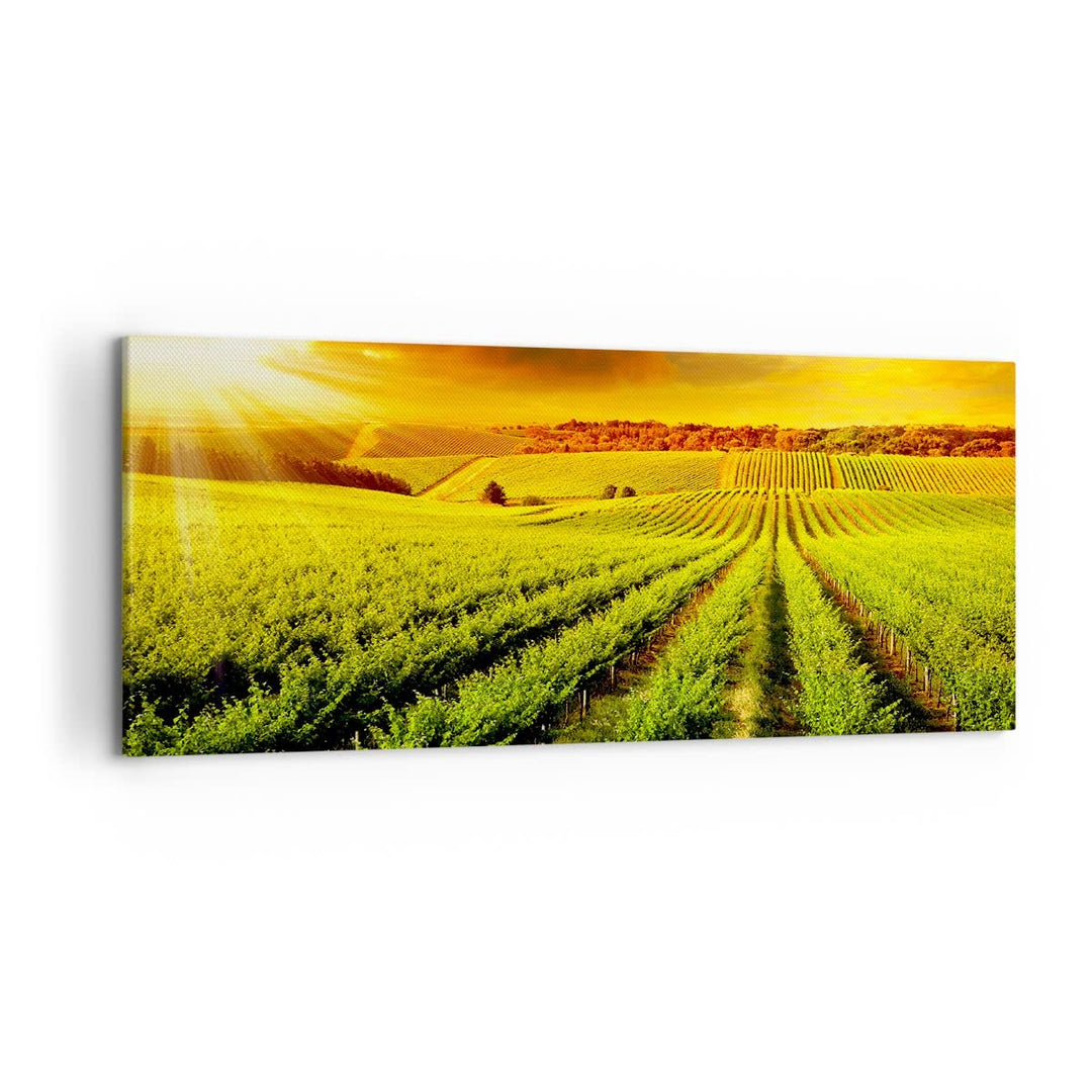Wandbilder Dekoration Wohnzimmer Land Weingut Pflanzung Panorama Bilder auf Leinwand 120x50cm Leinwa