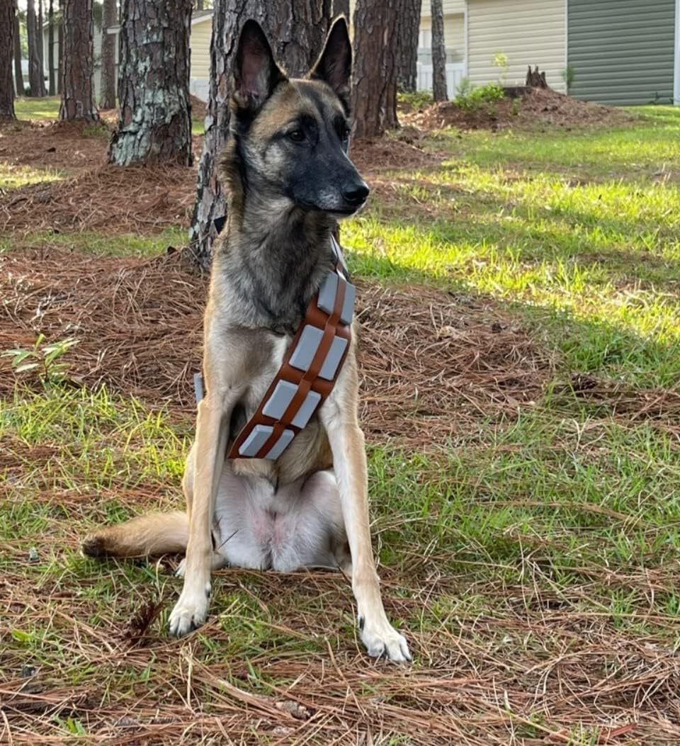 ComfyCamper Hunde-Halloween-Kostüm, verstellbar, Grösse XL, M, S, französisches Labor, Cosplay, Weih