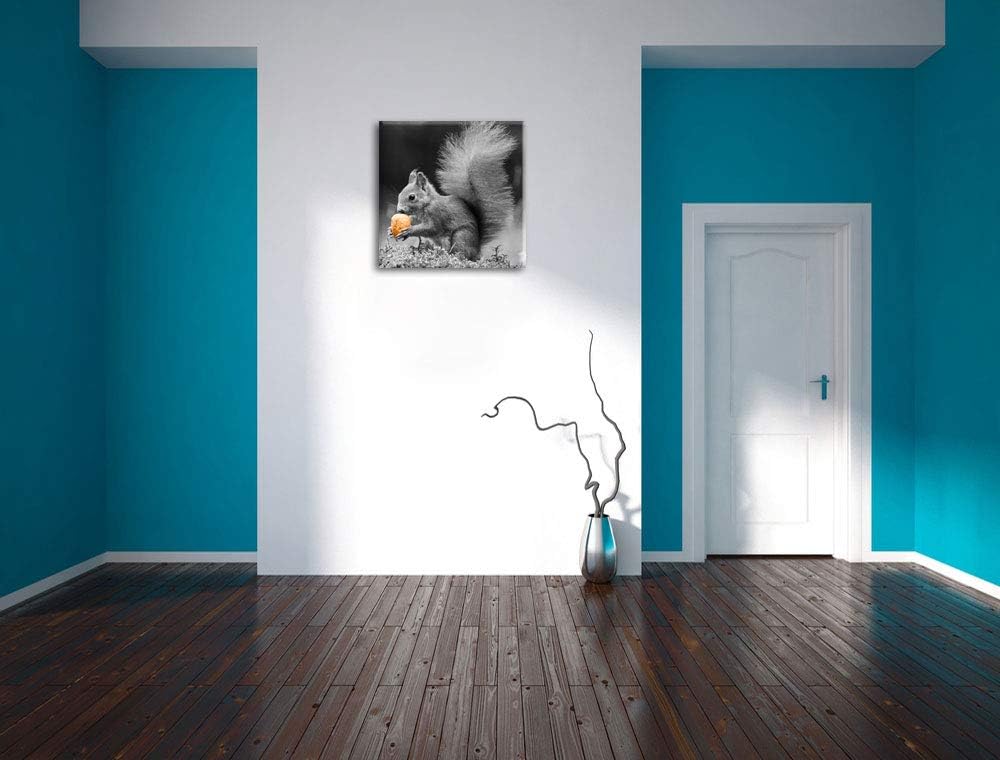 Pixxprint niedliches Eichhörnchen mit Nuss als Leinwandbild/Grösse: 70x70 cm/Wandbild/Kunstdruck/fer