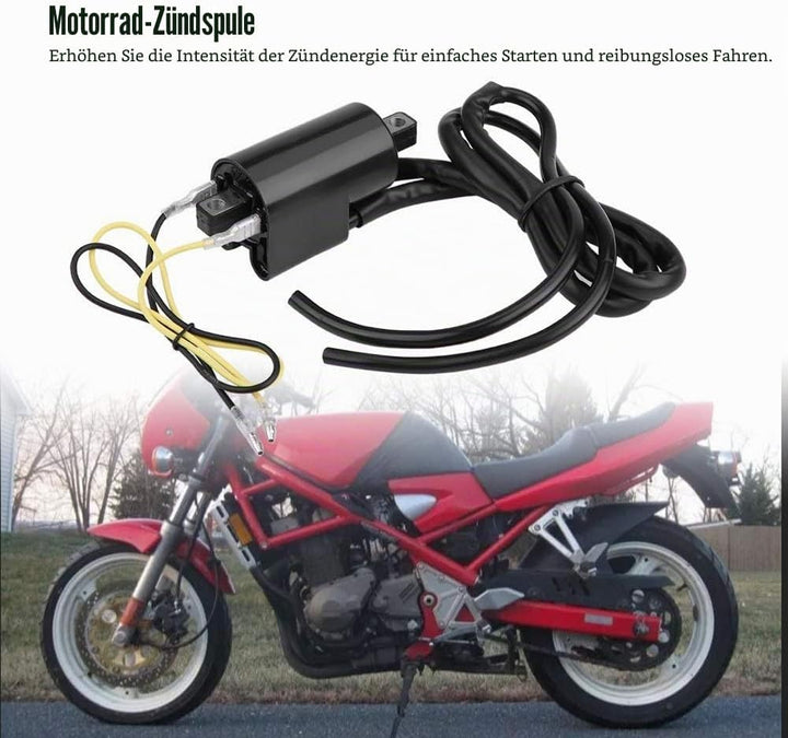 Broco Motorradzubehör Zündspule for Suzuki GSF400 GSF600 GSF1200 Bandit