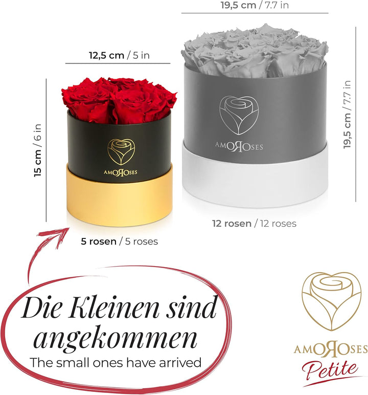 Amoroses Petite - Geschenkbox 5 ewige stabilisierte Rosen - Eleganter Strauss echter Blumen | Gesche