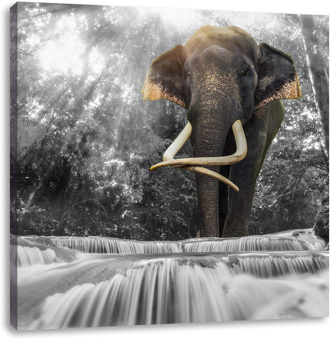 Pixxprint riesiger Elefant am Bach als Leinwandbild | Grösse: 70x70 cm | Wandbild | Kunstdruck | fer