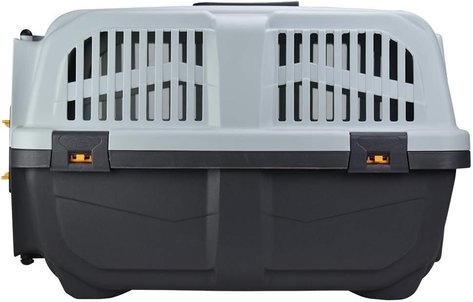 Transportbox "Skudo 2 IATA" grau / creme L x B x H: 55 x 36 x 35 grau L 55 x B 35 x H 36 cm, grau L