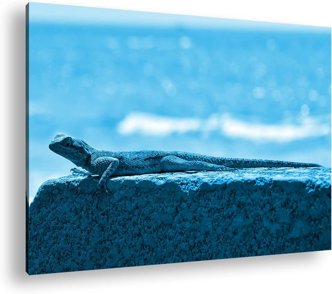 deyoli Gecko sonnt sich Format 80x60 Effekt: Monocrome Blau als Leinwandbild, Motiv fertig gerahmt a