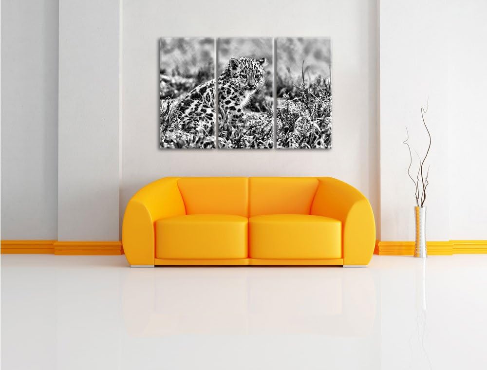 Pixxprint junger Leopard im Gras als Leinwandbild/Grösse: 3 Teilig (120x80) cm/Wandbild/Kunstdruck/f