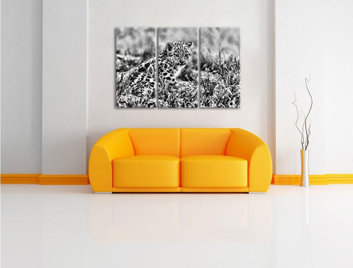 Pixxprint junger Leopard im Gras als Leinwandbild/Grösse: 3 Teilig (120x80) cm/Wandbild/Kunstdruck/f