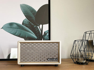 SCHWAIGER 661712 Retro Bluetooth Lautsprecher Vintage Speaker Lederoptik Holzgehäuse Akku HiFi Musik