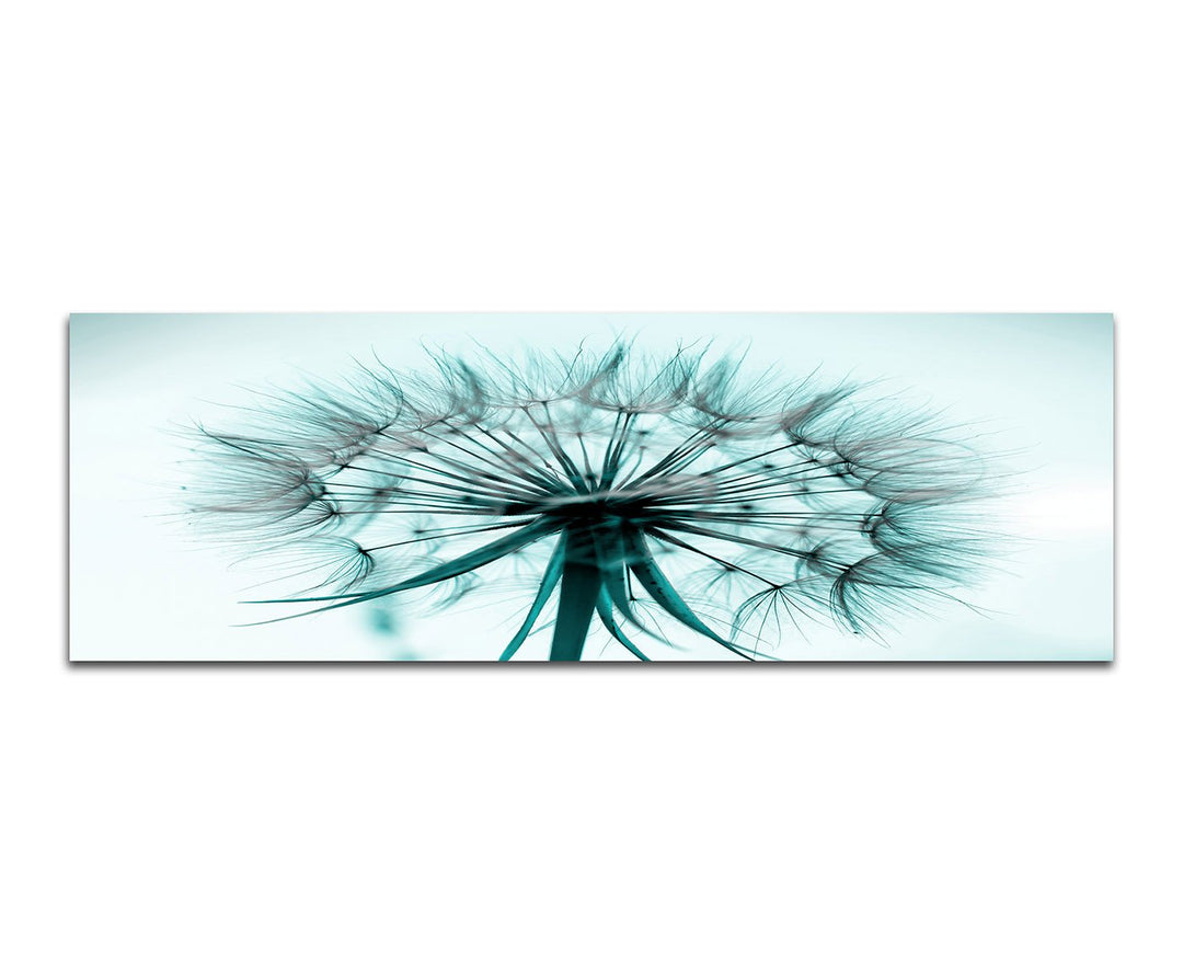 Paul Sinus Art Panoramabild auf Leinwand und Keilrahmen 150x50cm Pusteblume Löwenzahn Grossaufnahme