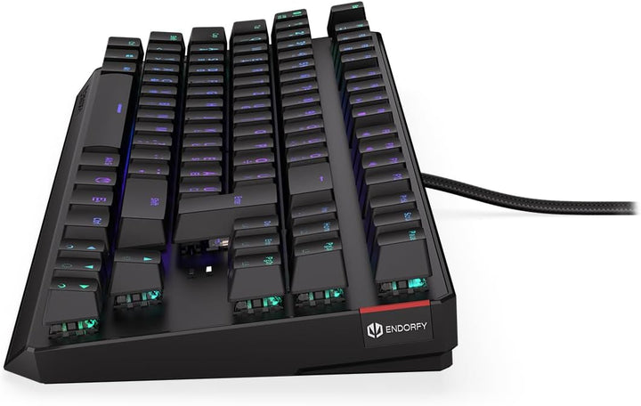 ENDORFY Thock TKL HU Red, Kailh Red Linear switches, TKL 80% Mechanical Keyboard, Hungarian Layout,