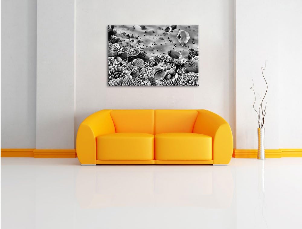 Pixxprint Fische über Korallenriff als Leinwandbild/Grösse: 100x70 cm/Wandbild/Kunstdruck/fertig bes