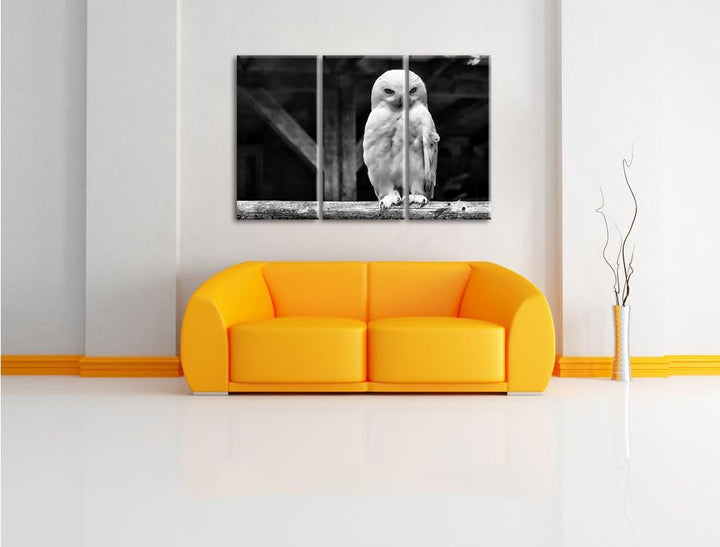 Pixxprint Weisse Schneeeule als Leinwandbild | Grösse: 3 Teilig (120x80) | Wandbild| Kunstdruck | fe