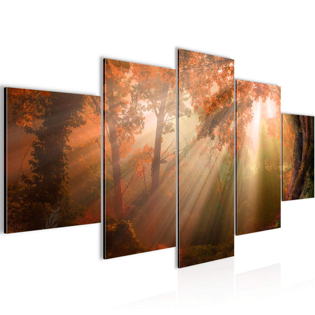 Runa Art Wandbilder Wald Landschaft 5 Teilig Bild auf Vlies Leinwand Deko Schlafzimmer Wohnzimmer So