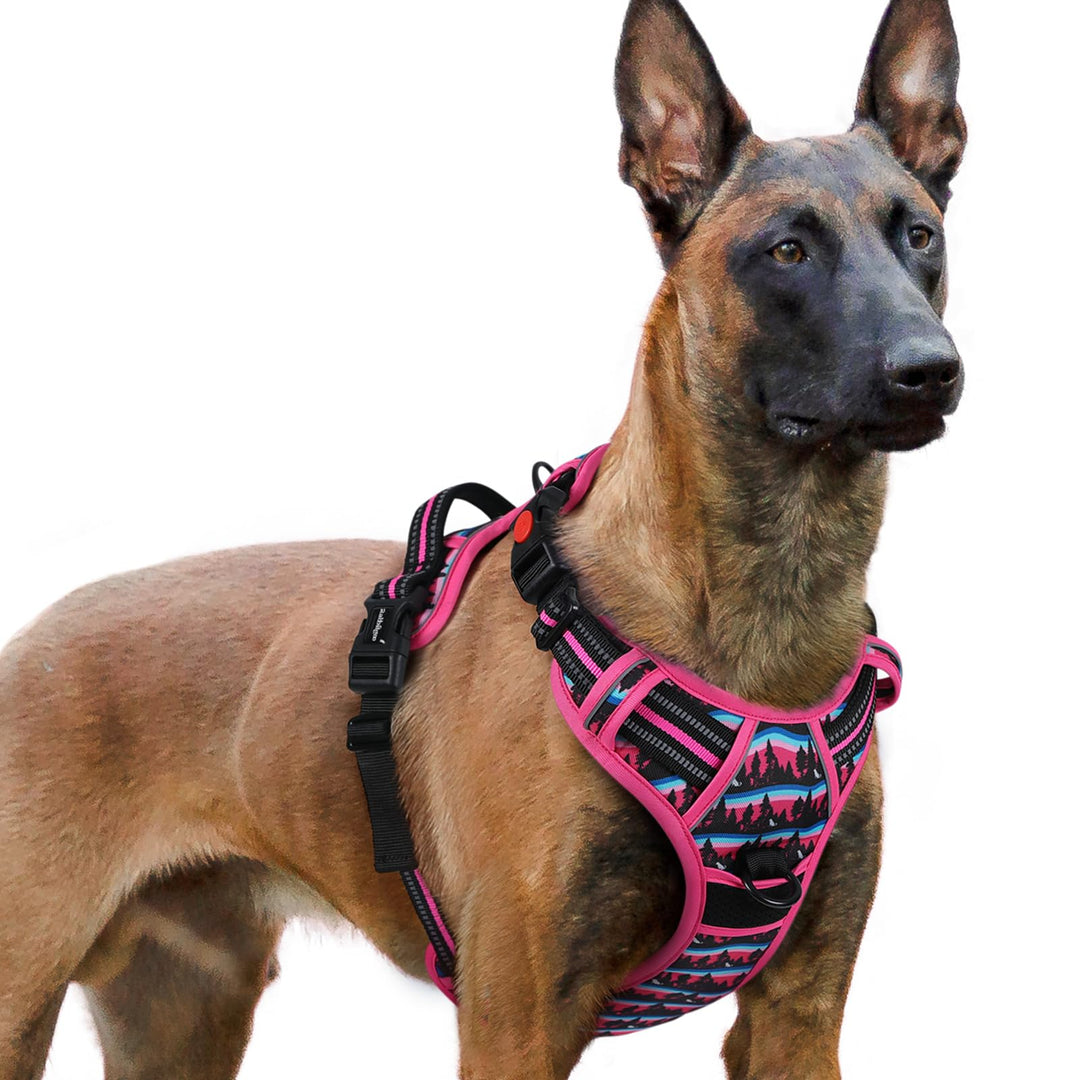 rabbitgoo Hundegeschirr Grosse Hunde Leichtes Anlegen, XL, Bergrosa | Anti Zug, Ohne Kopfdurchzug, H