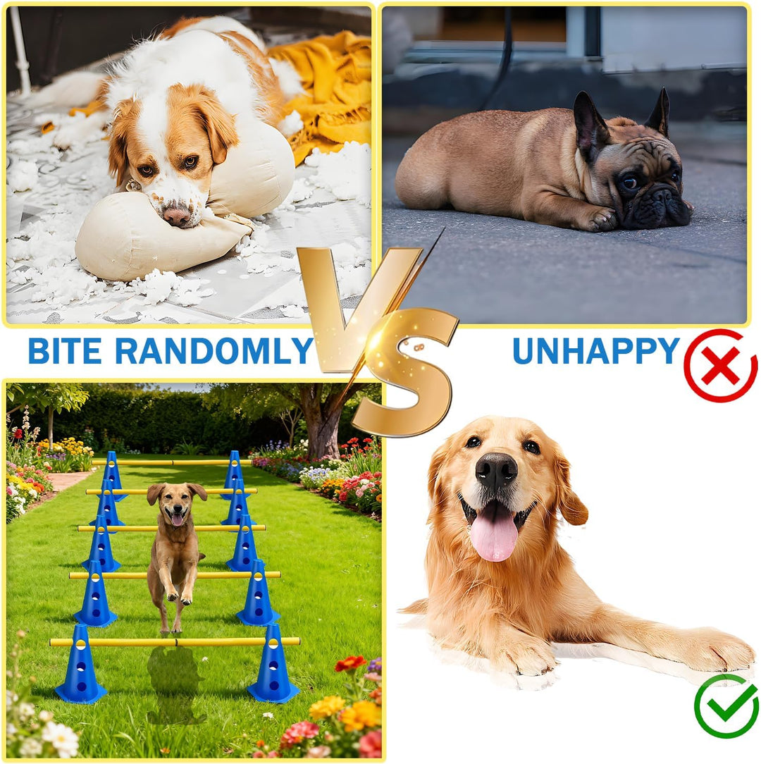 5er Sports Steckhürdenset Cavaletti Agility Set Hunde Hürden Steckhürdenset 10 Kegel 23cm + 5 Stange