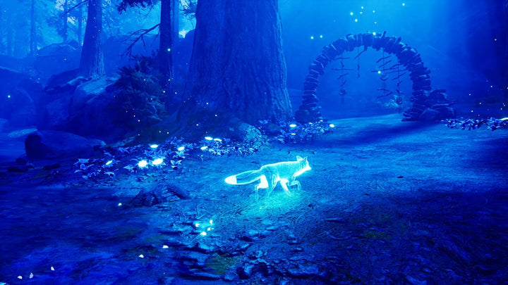 Wild River Spirit of the North - [Nintendo Switch] Nintendo Switch Single, Nintendo Switch Single