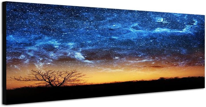 Paul Sinus Art Panoramabild auf Leinwand und Keilrahmen 120x40cm Wiese Baum Himmel Nacht Sterne