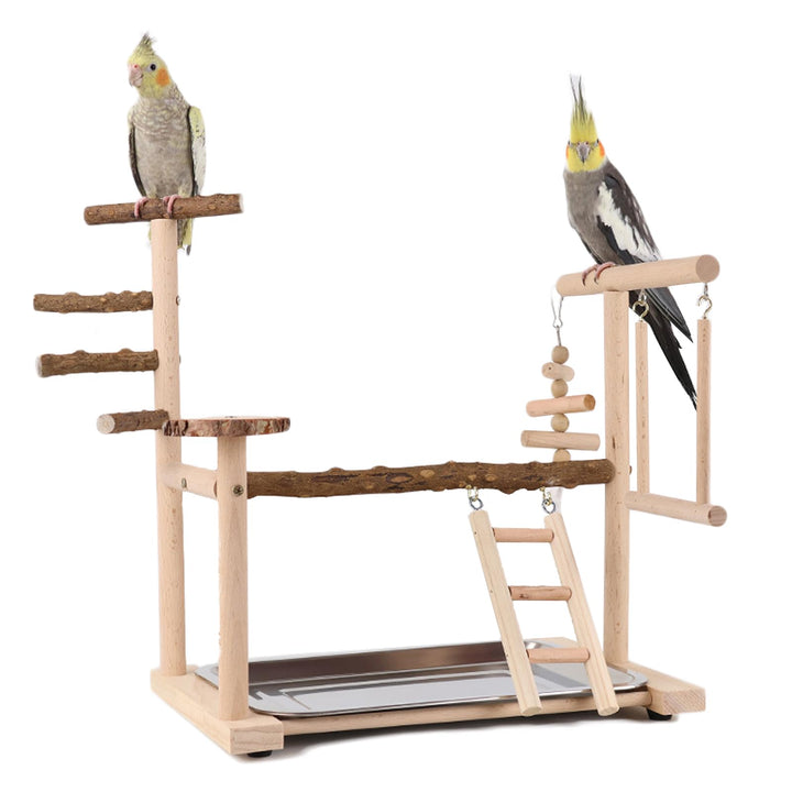 Wellensittich Spielplatz Vogel-Spielplatz mit Spielzeug Leiter Erklimmen Schaukel und Tablett für Ny