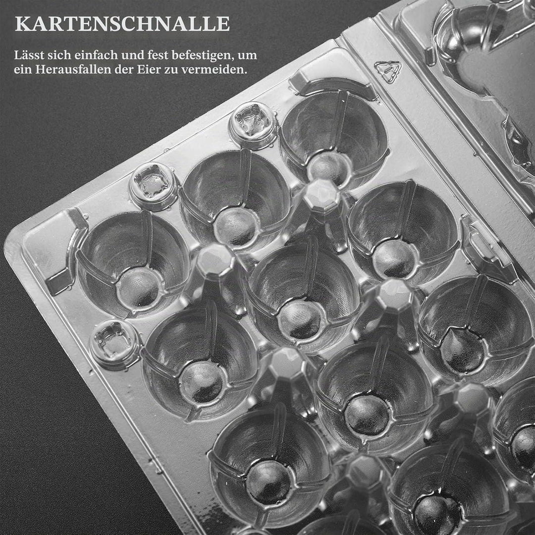 HEMOTON 50 Stücke 18 Gitter Wachtelei Aufbewahrungsbox Transparent Ei Spender Halter Fall Kühlschran
