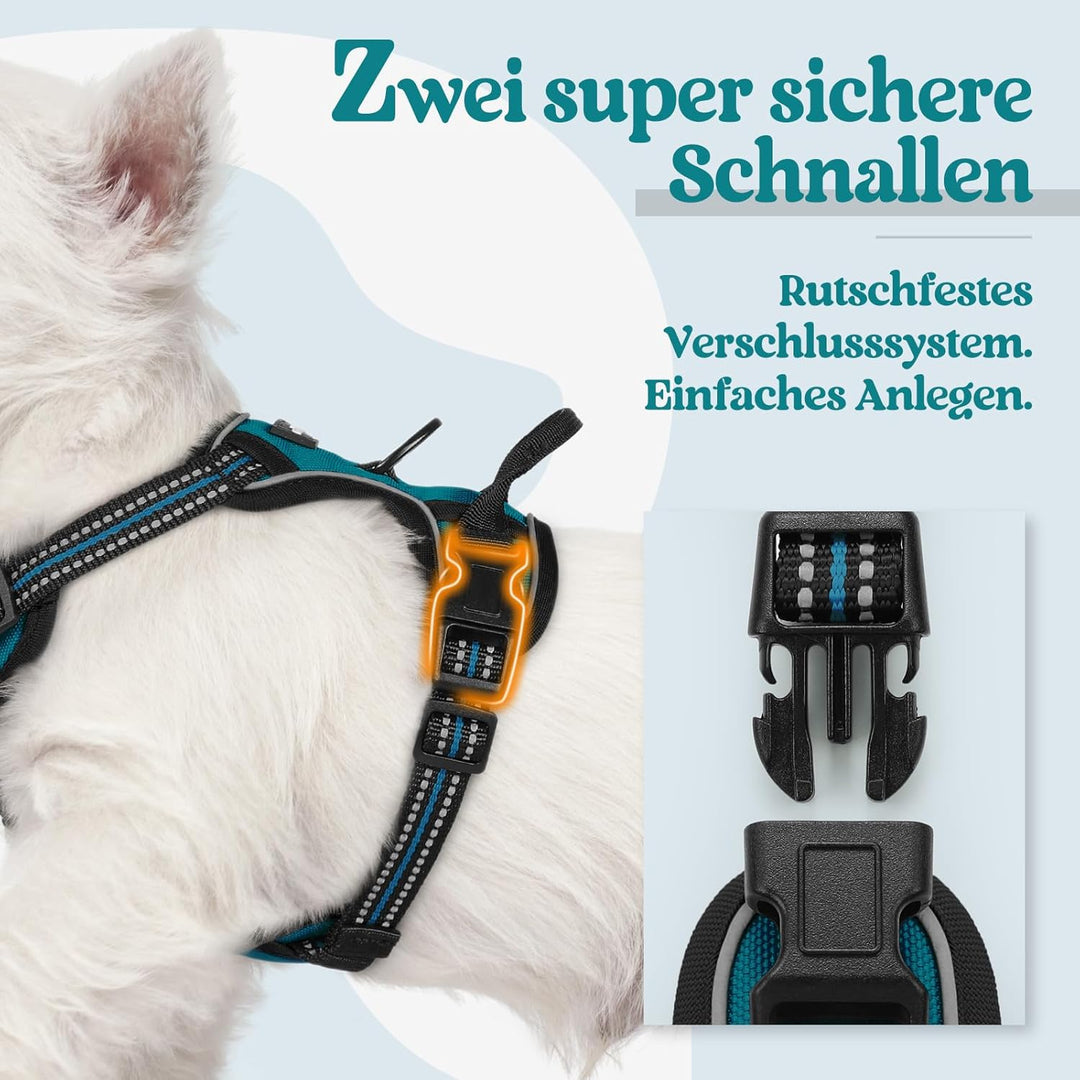 rabbitgoo Hundegeschirr Kleine Hunde, Anti Zug Geschirr mit Kontrolle, No Pull Verstellbar Hundegesc